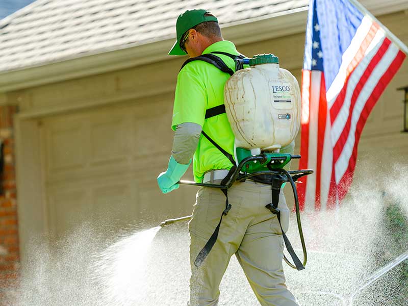 Green group employee with wearing backpack of fertilizer spraying fertilizer on a lawn