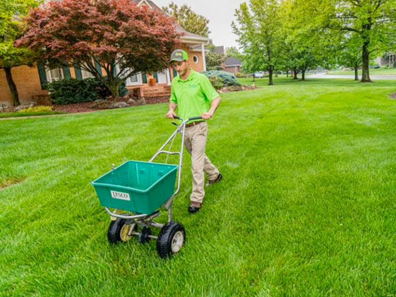 Green group employee pushing a lawn seed spreader