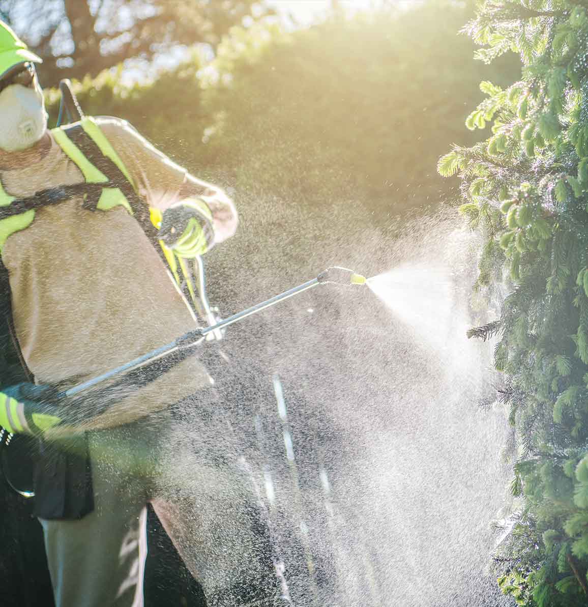 Green group employee spraying mosquito pesticide mist