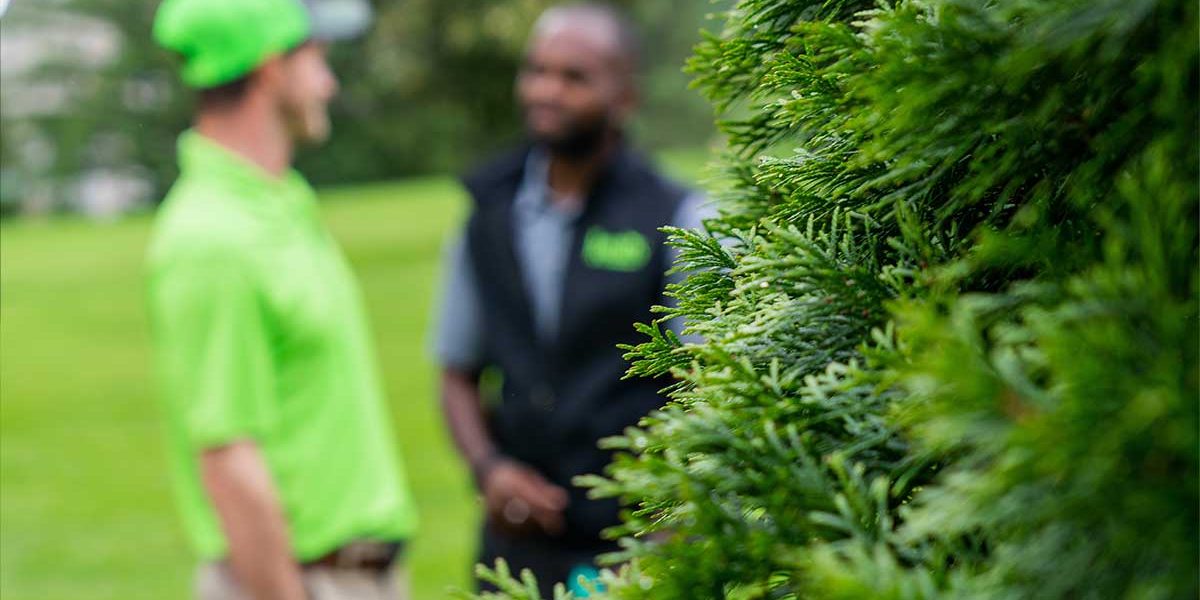 Two green group employees talking in background with shrub in foreground