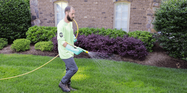 Green group employee spraying liquid aerator onto lawn.